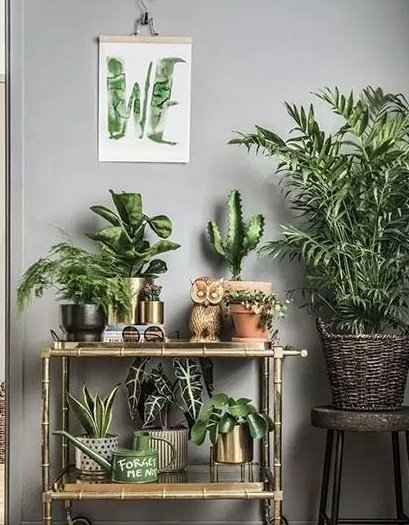 ֲL(fng)ˮW(xu)ϲÔ[ֲ쿴қ_ɷ˛](mi)