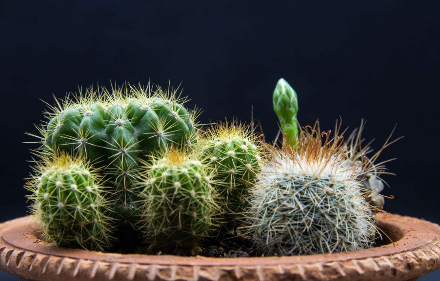 ֲL(fng)ˮW(xu)ϲÔ[ֲ쿴қ_ɷ˛](mi)