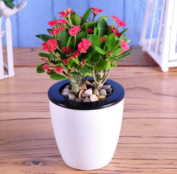 ֲL(fng)ˮW(xu)ϲÔ[ֲ쿴қ_ɷ˛](mi)