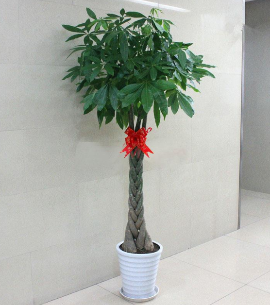 ֲL(fng)ˮW(xu)ϲÔ[ֲ쿴қ_ɷ˛](mi)