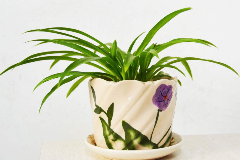 ֲL(fng)ˮW(xu)ϲÔ[ֲ쿴қ_ɷ˛](mi)